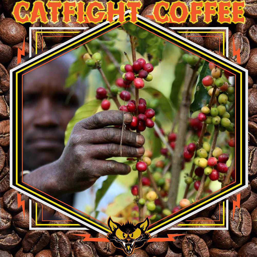 Why our coffee farmers and the coffee we serve you is important.