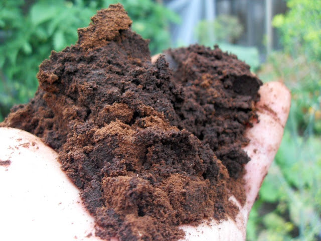 More uses for your used coffee grinds!